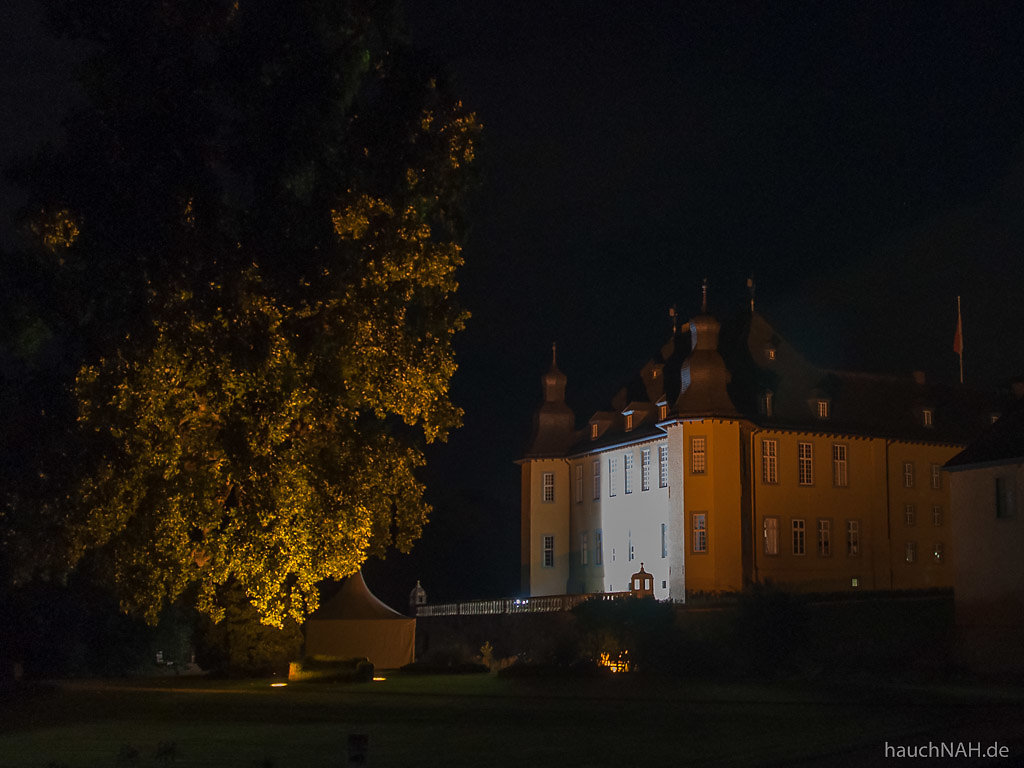 Julian & Roman Wasserfuhr Quartet auf Schloss Dyck